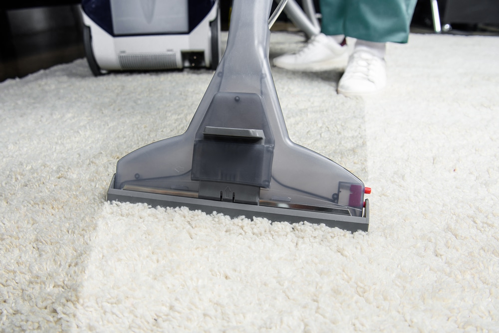 DIY: How to Remove Dust From Carpet