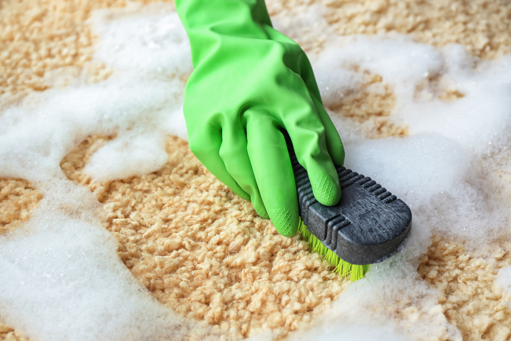 Read more about the article How to Wash Carpet