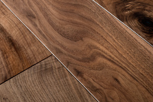 American Black Walnut