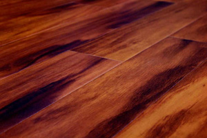 tigerwood-hardwood